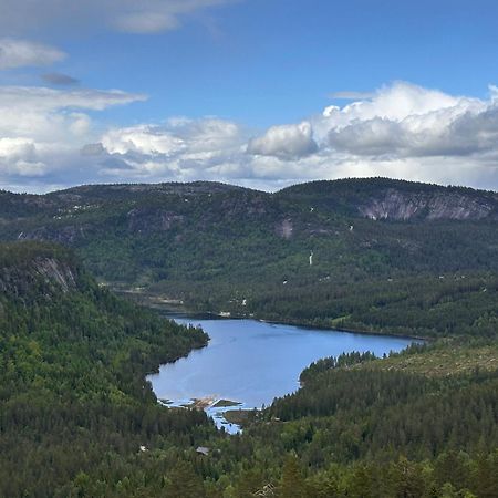 Modern Northern Lights Cabin Drangedal Екстер'єр фото