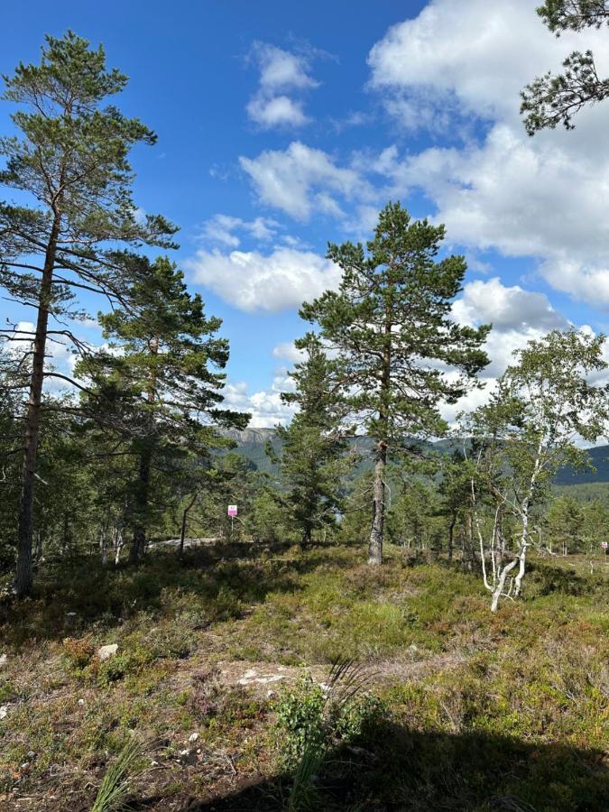 Modern Northern Lights Cabin Drangedal Екстер'єр фото