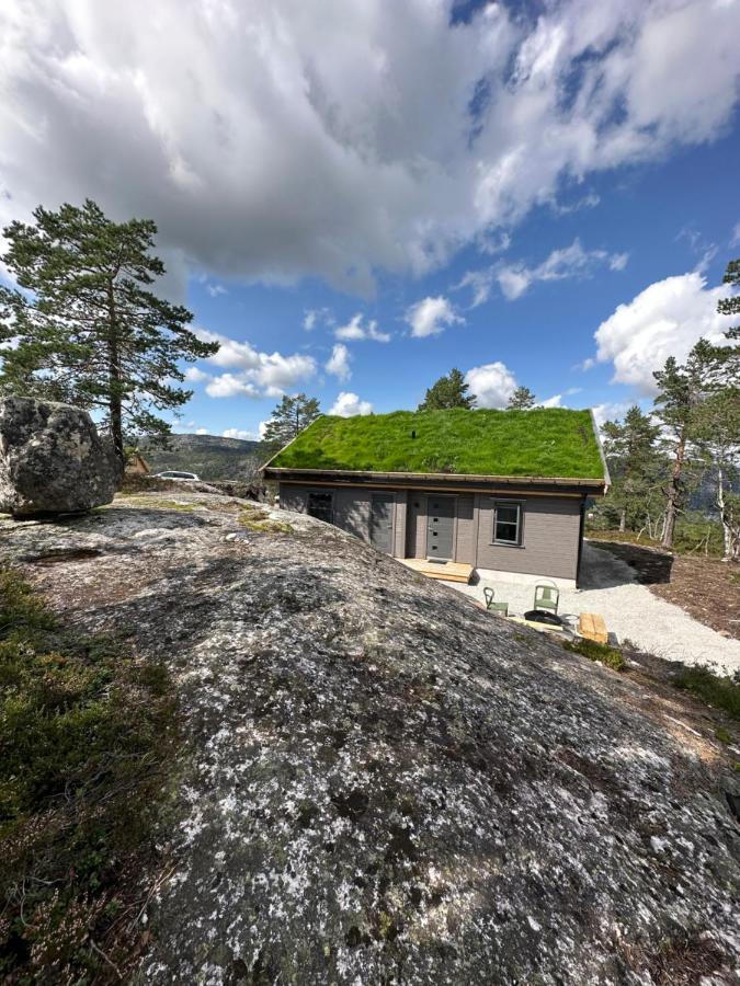 Modern Northern Lights Cabin Drangedal Екстер'єр фото