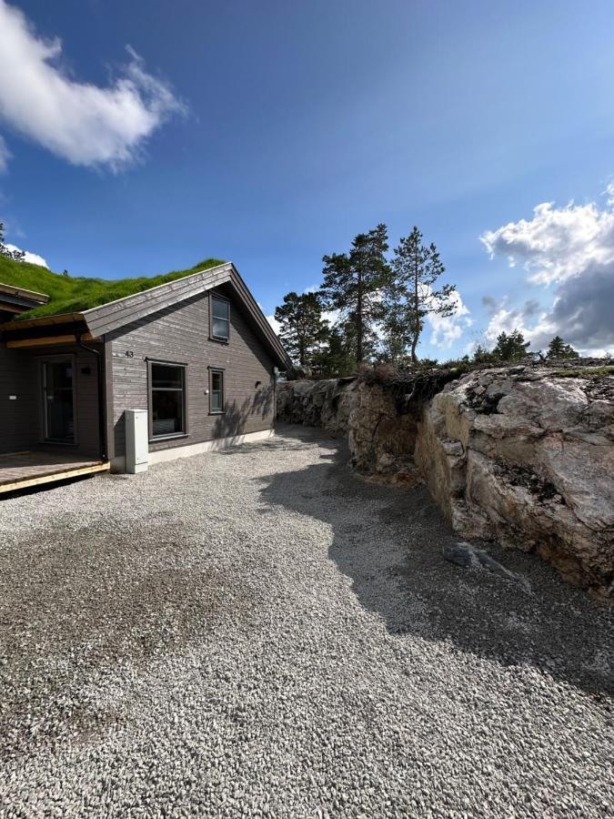 Modern Northern Lights Cabin Drangedal Екстер'єр фото