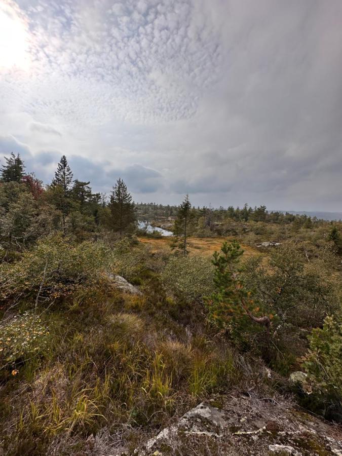 Modern Northern Lights Cabin Drangedal Екстер'єр фото