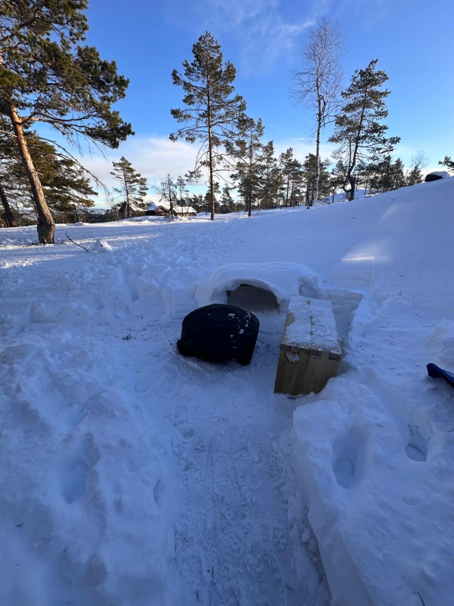 Modern Northern Lights Cabin Drangedal Екстер'єр фото