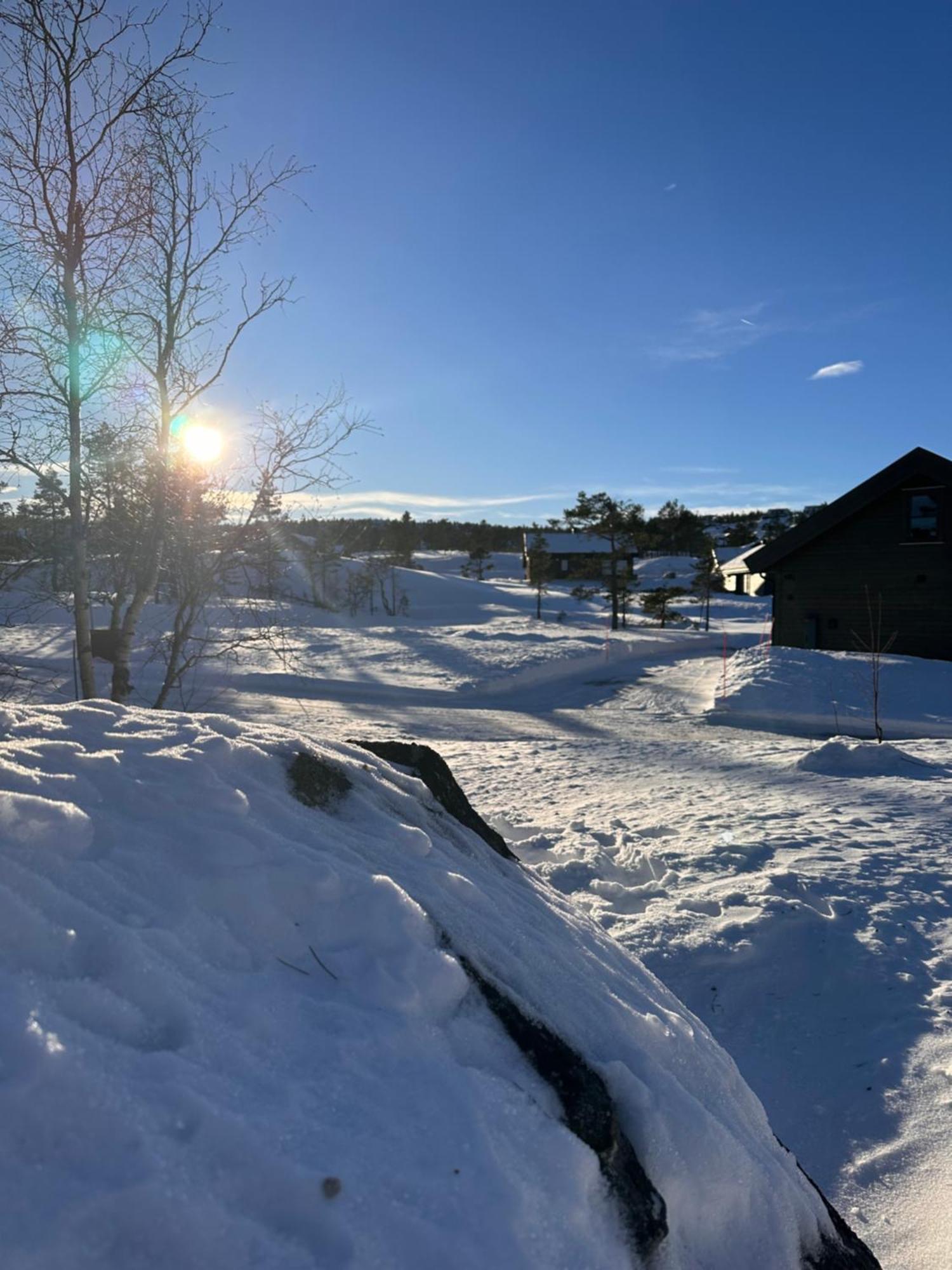 Modern Northern Lights Cabin Drangedal Екстер'єр фото