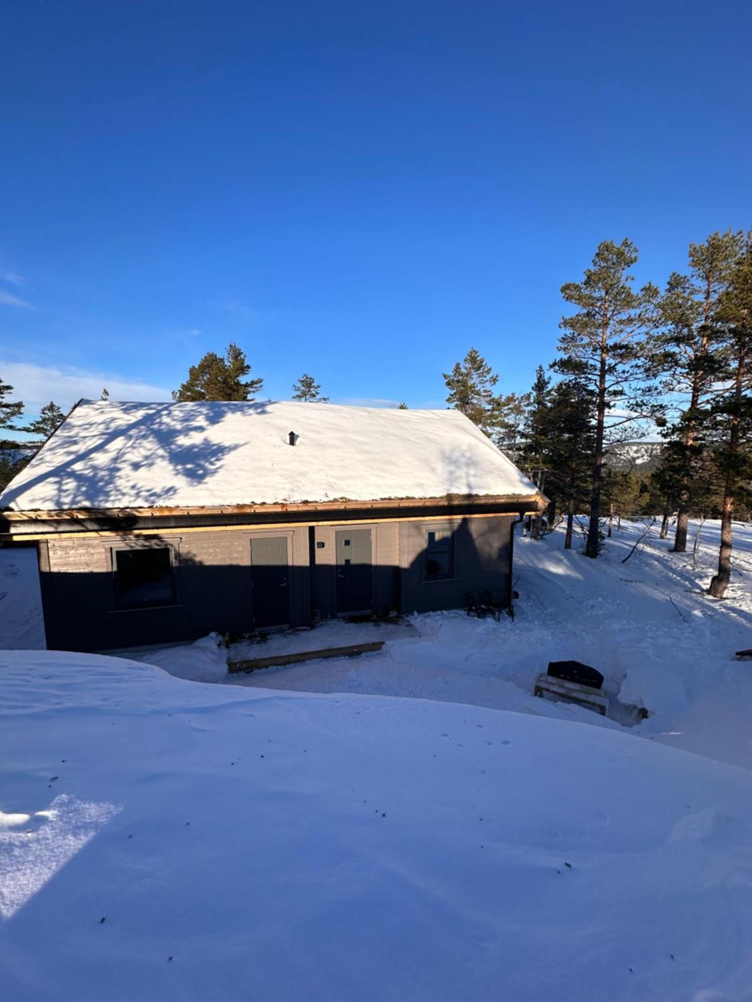Modern Northern Lights Cabin Drangedal Екстер'єр фото