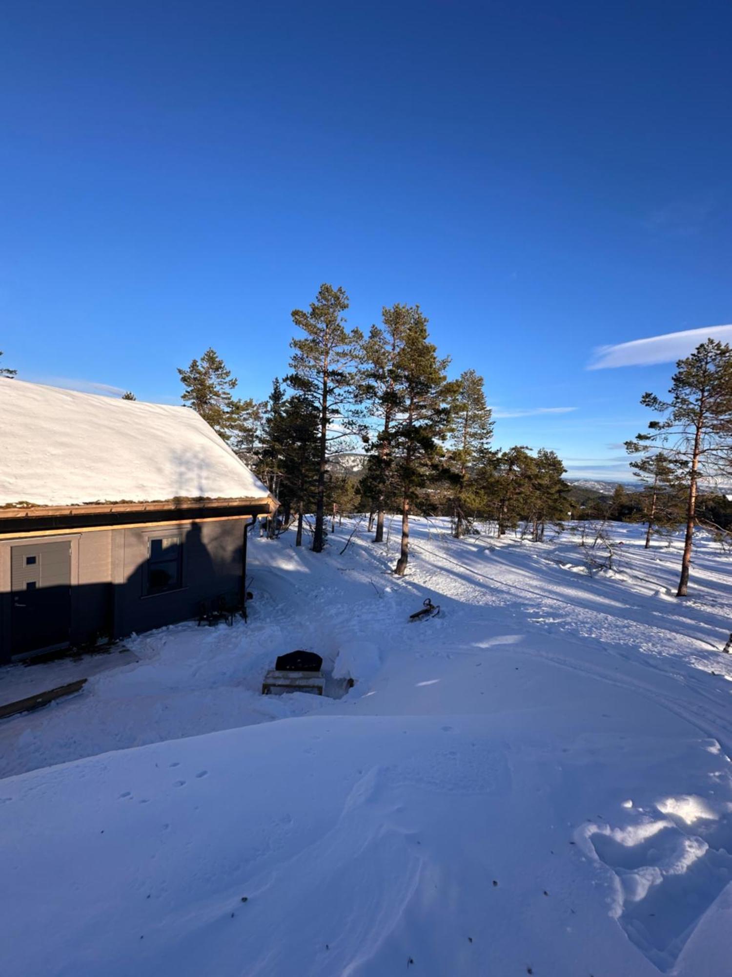 Modern Northern Lights Cabin Drangedal Екстер'єр фото