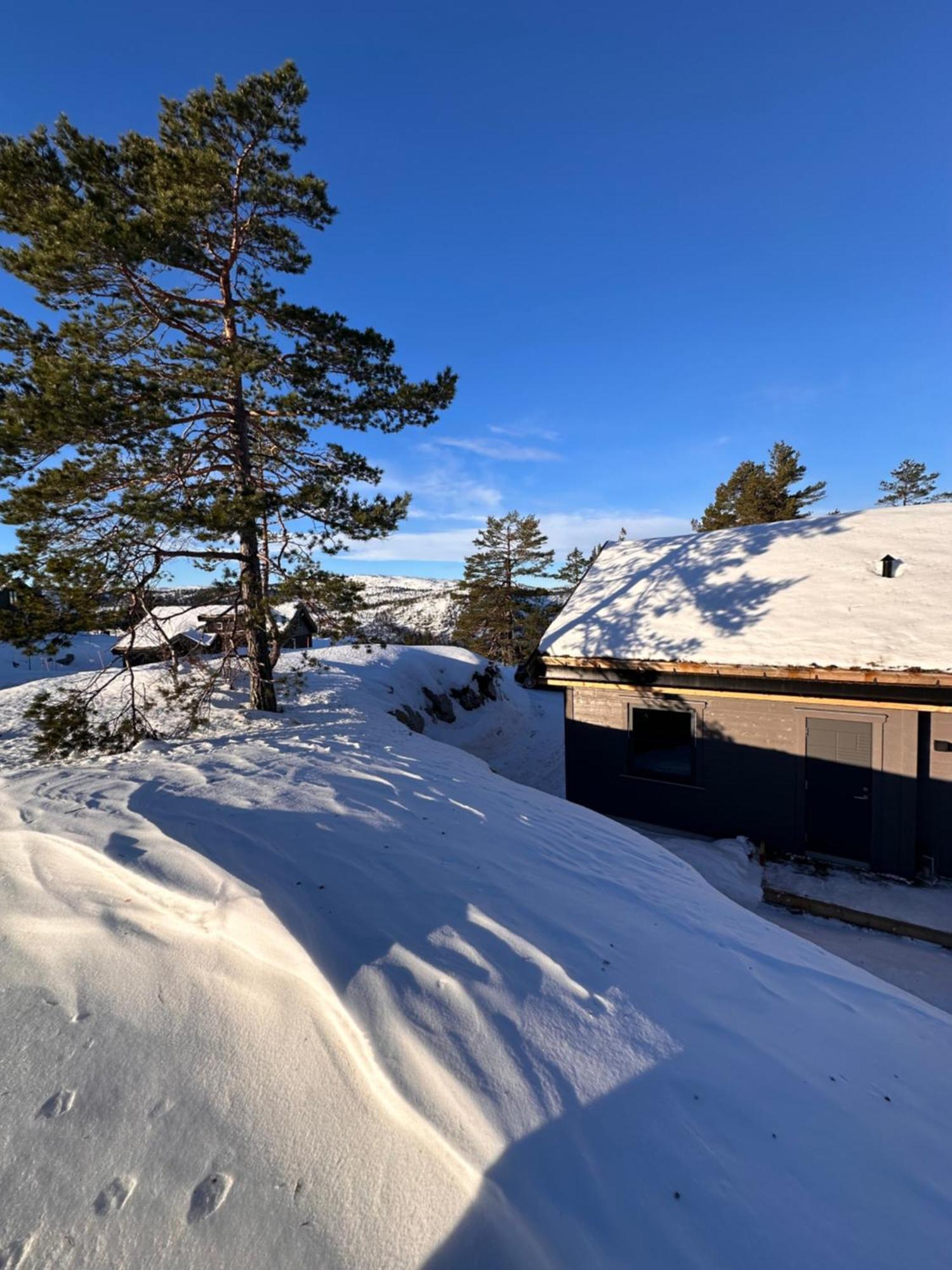 Modern Northern Lights Cabin Drangedal Екстер'єр фото