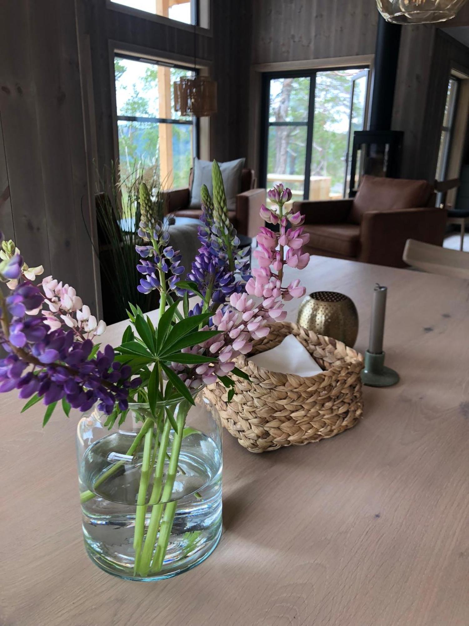 Modern Northern Lights Cabin Drangedal Екстер'єр фото