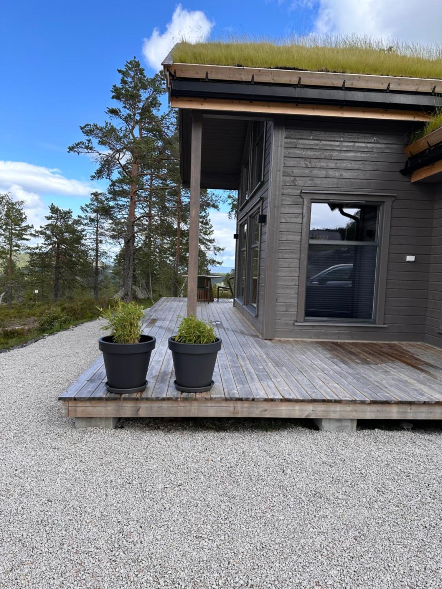 Modern Northern Lights Cabin Drangedal Екстер'єр фото