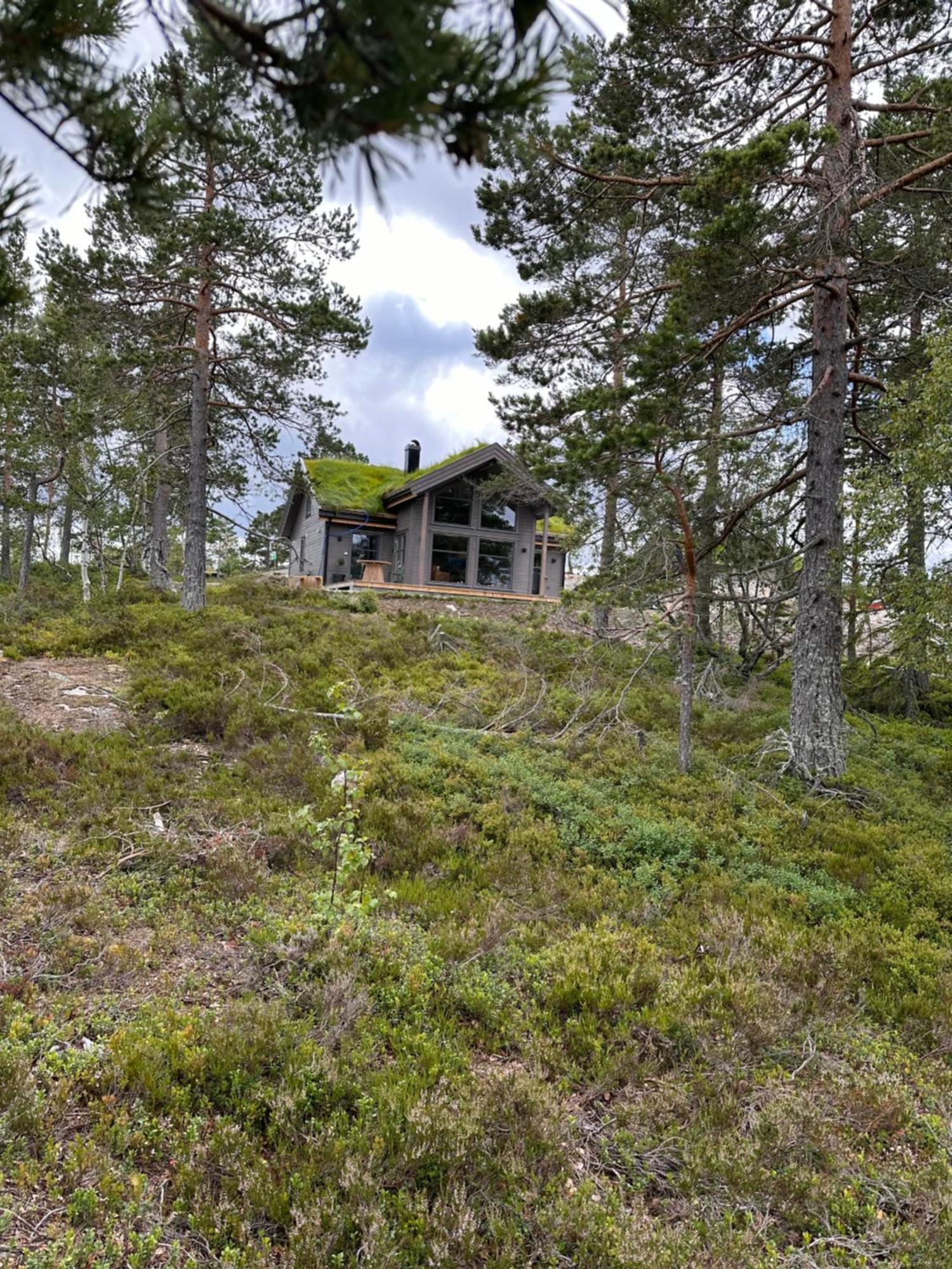Modern Northern Lights Cabin Drangedal Екстер'єр фото