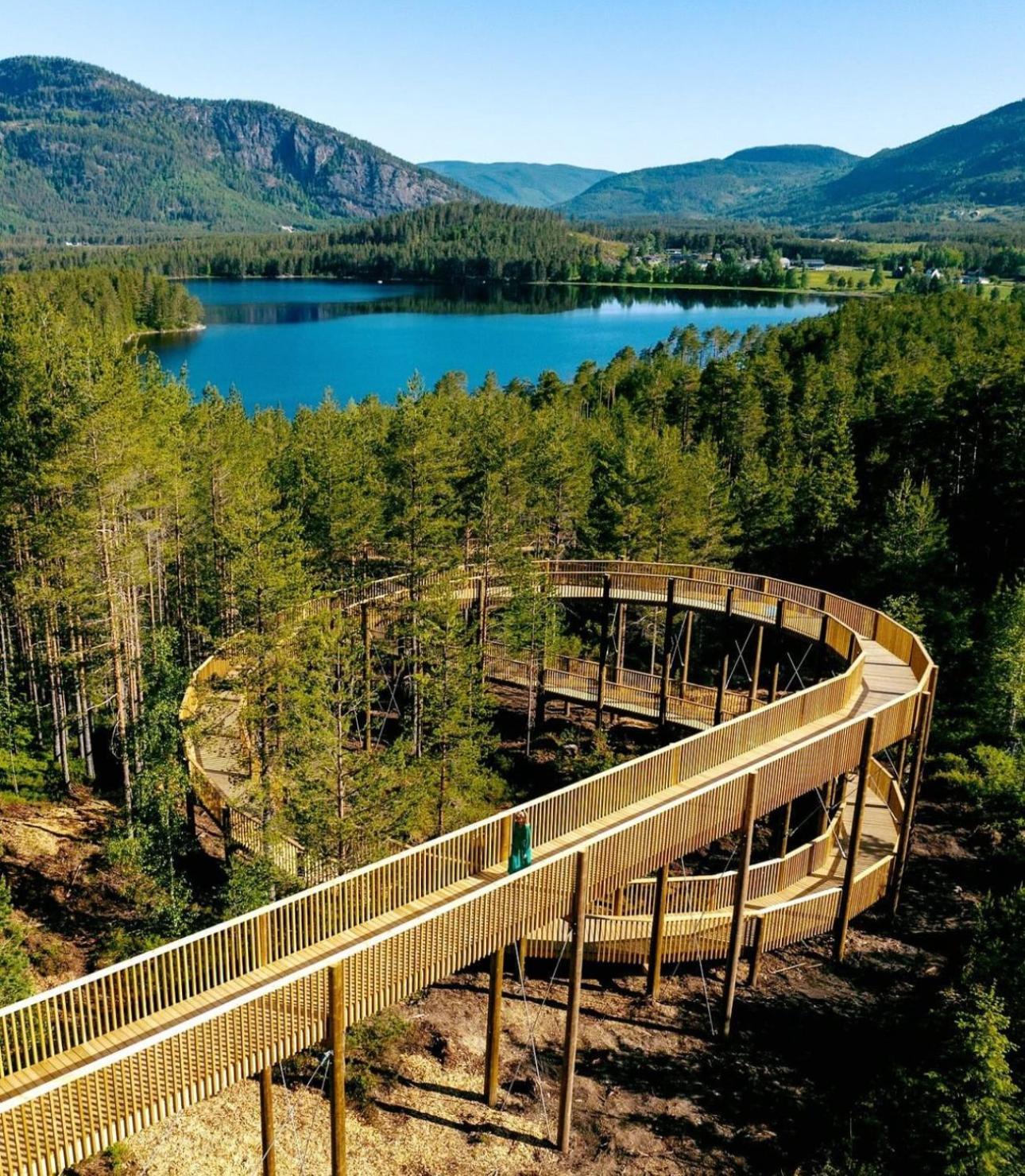 Modern Northern Lights Cabin Drangedal Екстер'єр фото